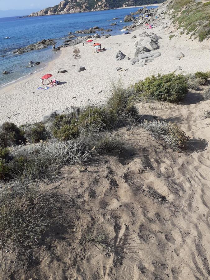 Agriturismo Gli Olivastri, Appartamento La Rosa Dei Venti Con Piscina E Solarium , Vista Mare ,Climatizzatore ,Wifi Aglientu Εξωτερικό φωτογραφία