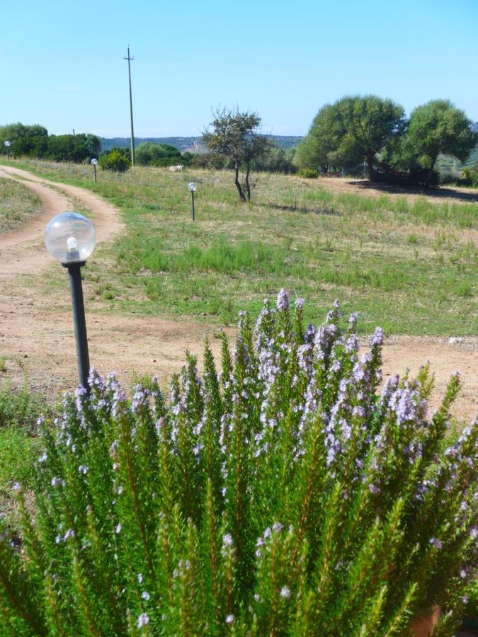 Agriturismo Gli Olivastri, Appartamento La Rosa Dei Venti Con Piscina E Solarium , Vista Mare ,Climatizzatore ,Wifi Aglientu Εξωτερικό φωτογραφία