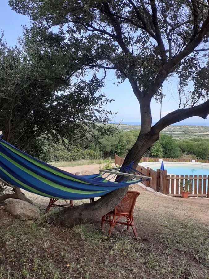Agriturismo Gli Olivastri, Appartamento La Rosa Dei Venti Con Piscina E Solarium , Vista Mare ,Climatizzatore ,Wifi Aglientu Εξωτερικό φωτογραφία